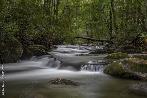 Fototapeta Naklejka Na Ścianę i Meble -  Tremont Great Smoky Mountains Middle Prong river waterfall.