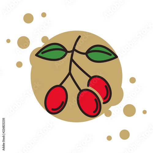 Coffee plant beans