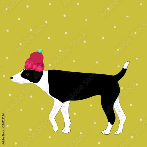 Hand drawn illustration of black and white dog in hat 
