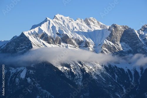 Alpine Close-up with Cloud in Foreground  Switzerland