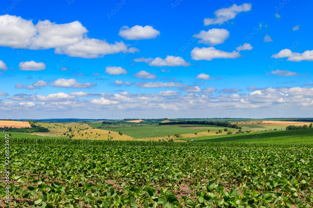 Summer landscape with green fields, hills and blue sky