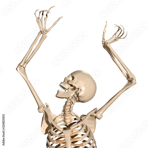 Spooky 3d human skeleton screaming