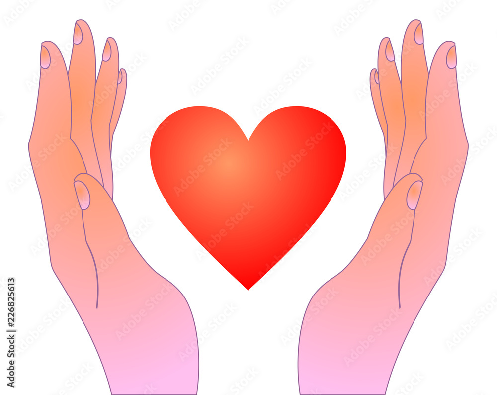 heart in hands drawing vector eps 10 heart in hands drawing vector eps 10
