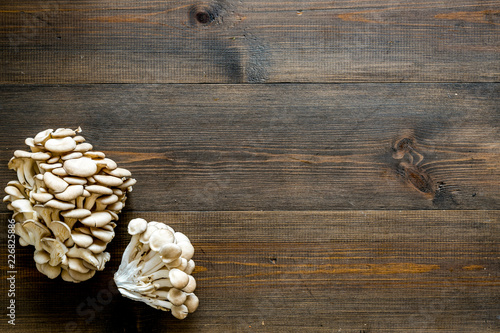 Oyster mushroom. Fresh raw veshenka on dark wooden background top view space for text