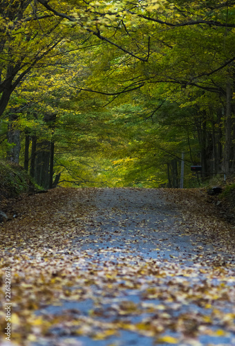 Sleepy Hallow Fall