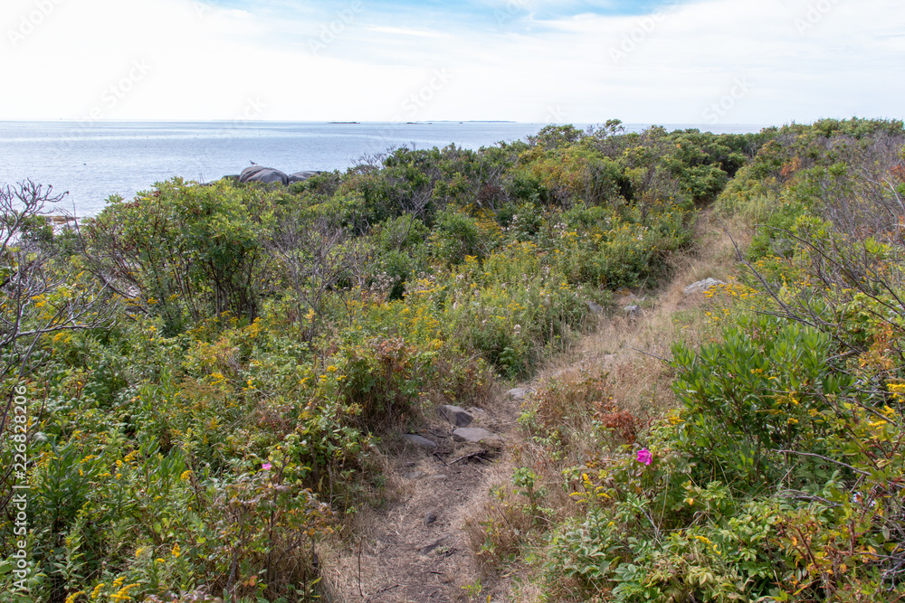 Hiking trail with a view off the coast of Maine.