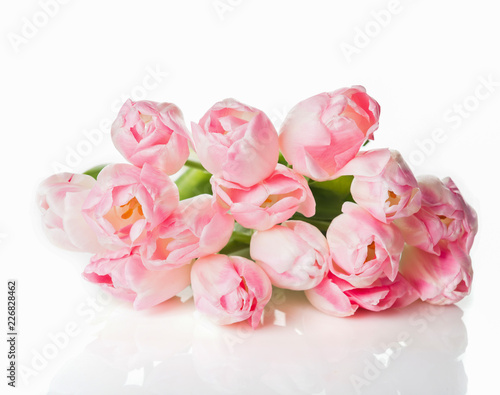 Bouquet of pink tulips isolated on white