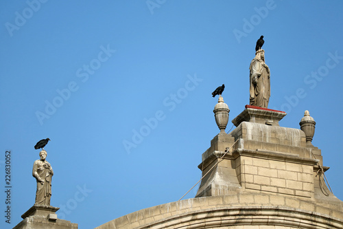 Condors Relaxing on the Top of Gorgeous Sculptures of the Vintage Building, Plaza de Mayor in Lima, Peru  © jobi_pro