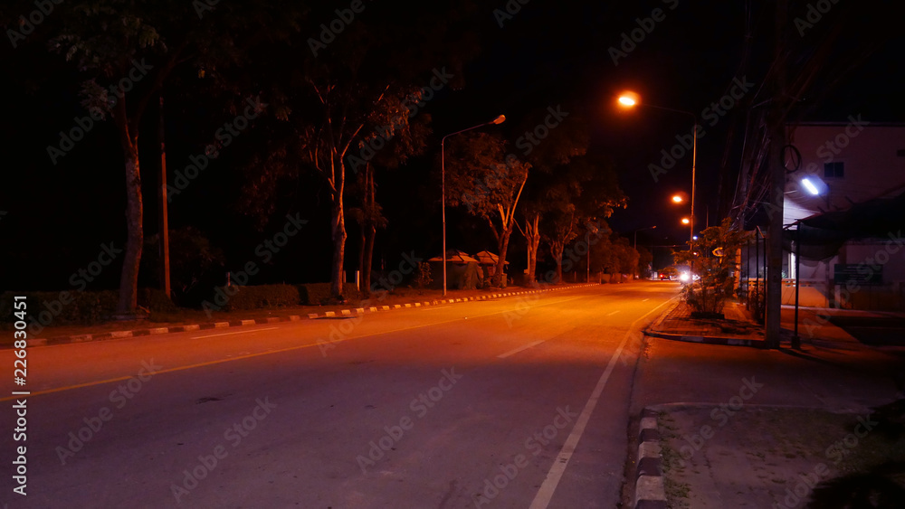 Local road with lamp posts at night.