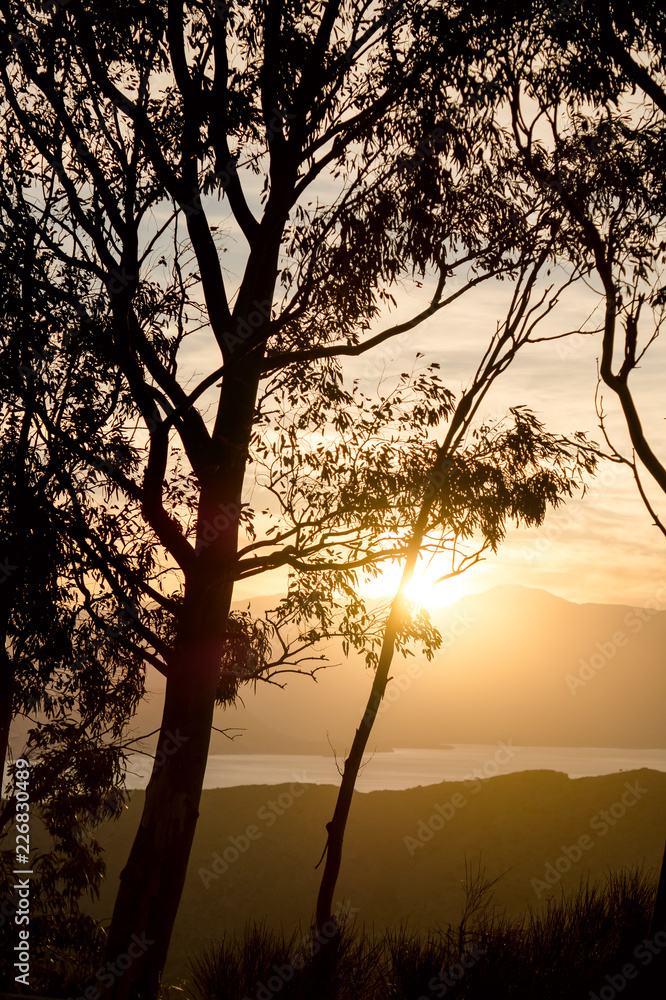 Naklejka premium England forest 