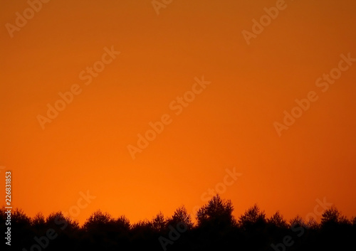 Breathtaking sunset sky over the silhouette of countryside forest, for background or banner  © jobi_pro