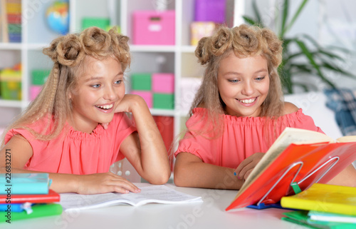 Portrait of two adorable twin sisters doing homework together