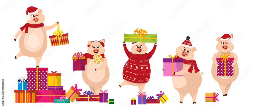 Fototapeta premium Set of funny pigs with gifts. Christmas pig cartoon vector illustration. 2019 New Year Chinese symbol. Pig carry gifts and put them in a pile