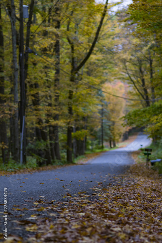 Road Gone By