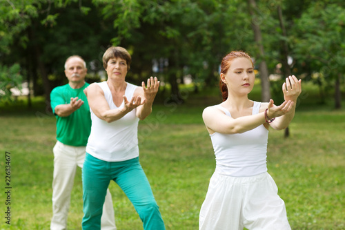 group of people practice Tai Chi Chuan in a park. Chinese management skill Qi's energy.
