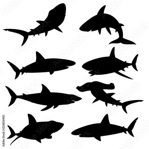 Set of silhouettes sharks on a white background. Vector illustration