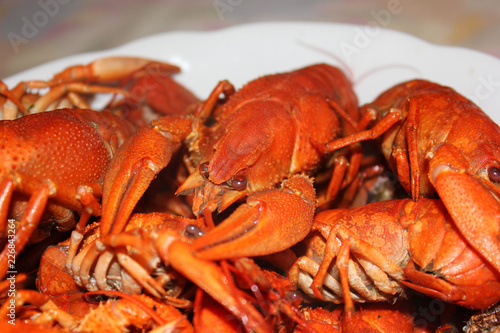 Boiled crayfish close up