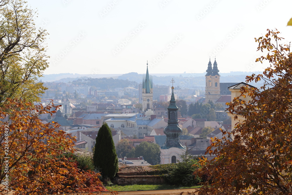 view of city in autumn
