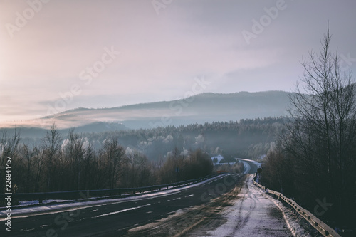 foggy winter road