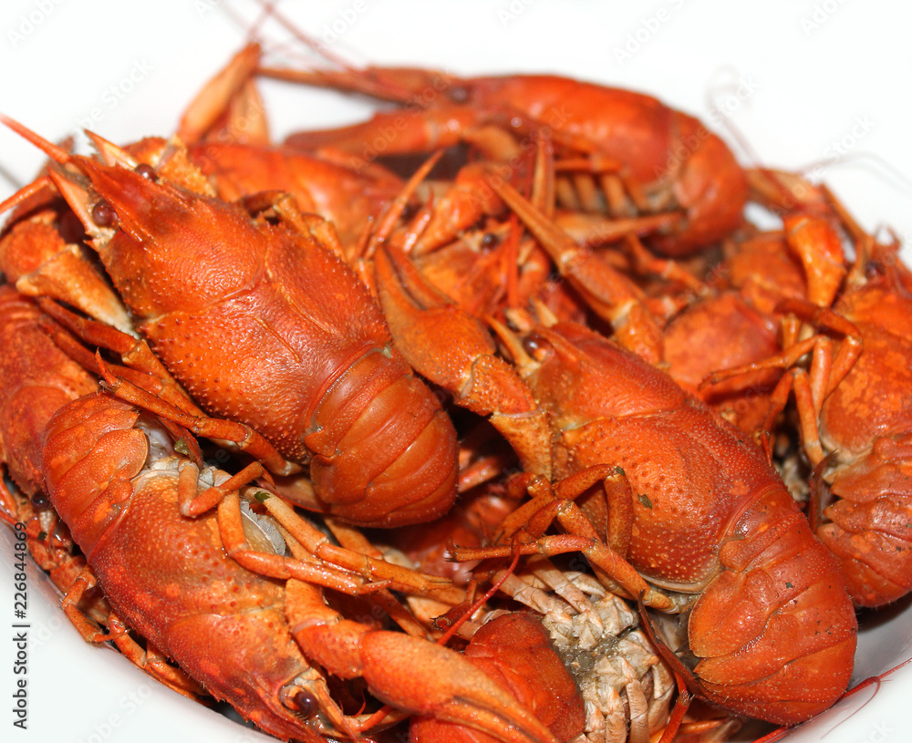 Boiled crayfish on a white background Boiled crayfish on a white background