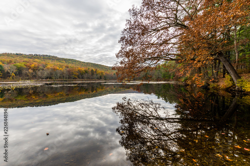 Laurel Lake Recreational Area in Pine Grove Furnace State Park in Pennsylvania during fall photo
