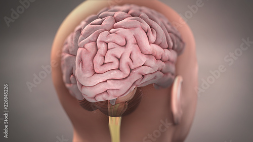 Photos Brain 3D Rendering