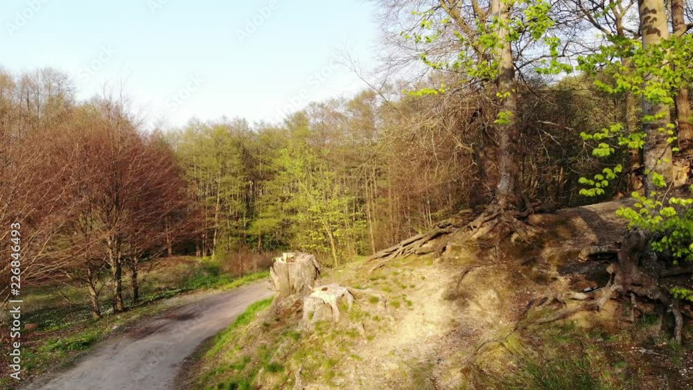 Road trail in forest park. Beautiful spring nature. Aerial view Road trail in forest park. Beautiful spring nature. Aerial view