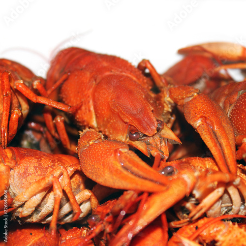 Boiled crayfish on a white background