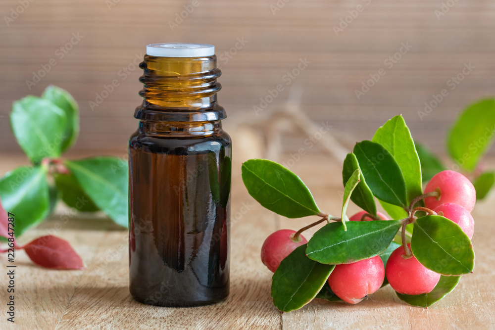 A bottle of wintergreen essential oil with fresh wintergreen A bottle of wintergreen essential oil with fresh wintergreen