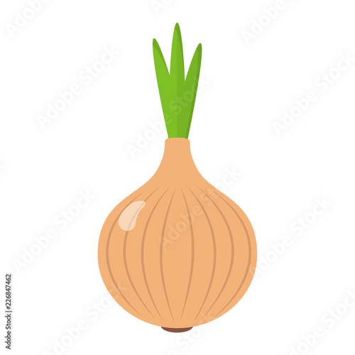 Zwiebel Icon Flat Design  isoliert auf weißem Hintergrund