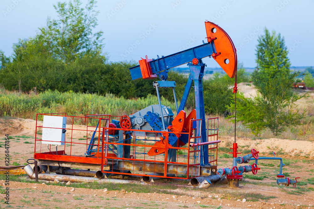 Obraz premium The oil pump, industrial equipment. Oil field site, oil pumps are running. Rocking machines for oil production in a private sector.