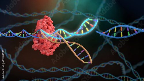 Crispr DNA Editor photo