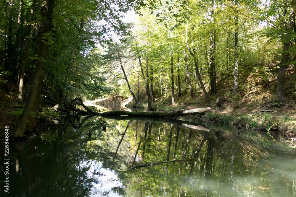 beautiful nature in central europe beautiful nature in central europe