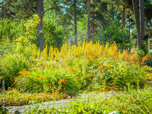 Landscape design, beautiful Park with flowers and conifers, Kotka, Park Isopuisto, Finland. Automatic plant watering system