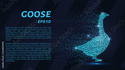 Goose of the particles. Goose consists of circles and points. Vector illustration.