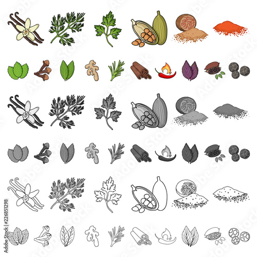 Herb and spices cartoon icons in set collection for design.Different kinds of seasonings vector symbol stock web illustration.