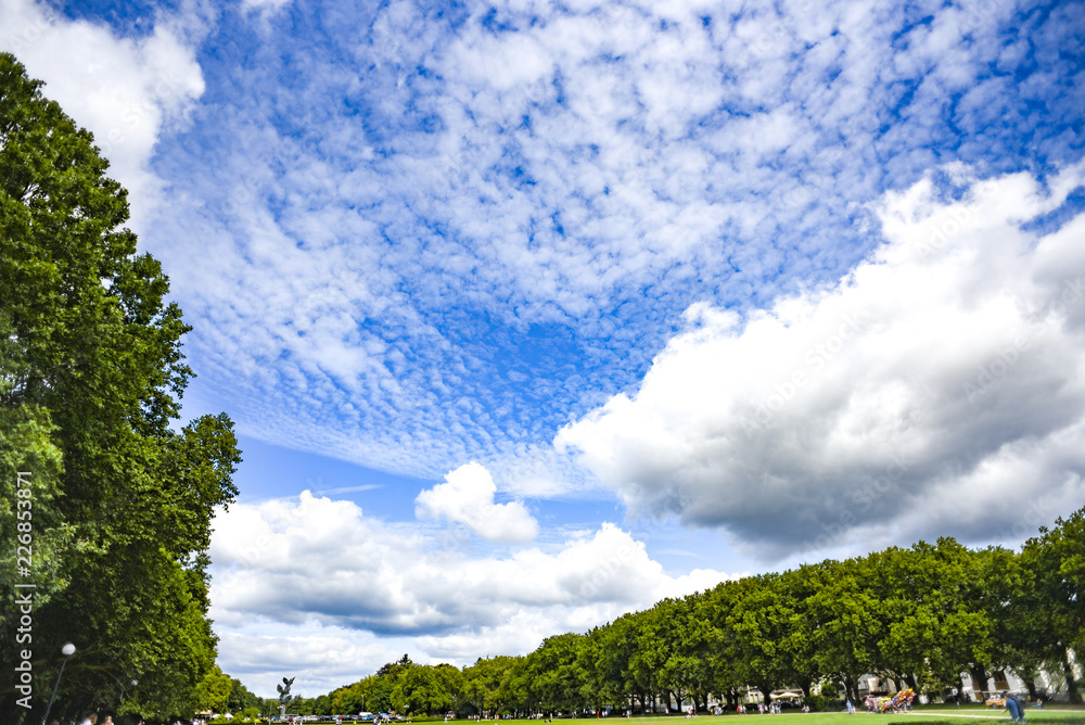 Clouds on a background of sunny sky with greenery at the bottom.