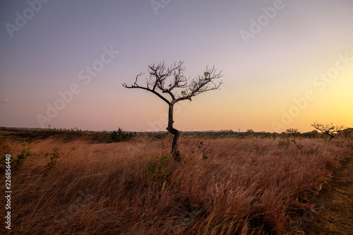 Barren Madagascan landscape at the end of the dry season.