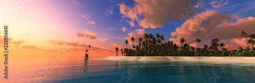Beautiful tropical landscape  island with palm trees at sunset   
