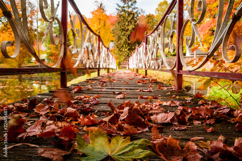 Herbst Blätter auf Brücke photo