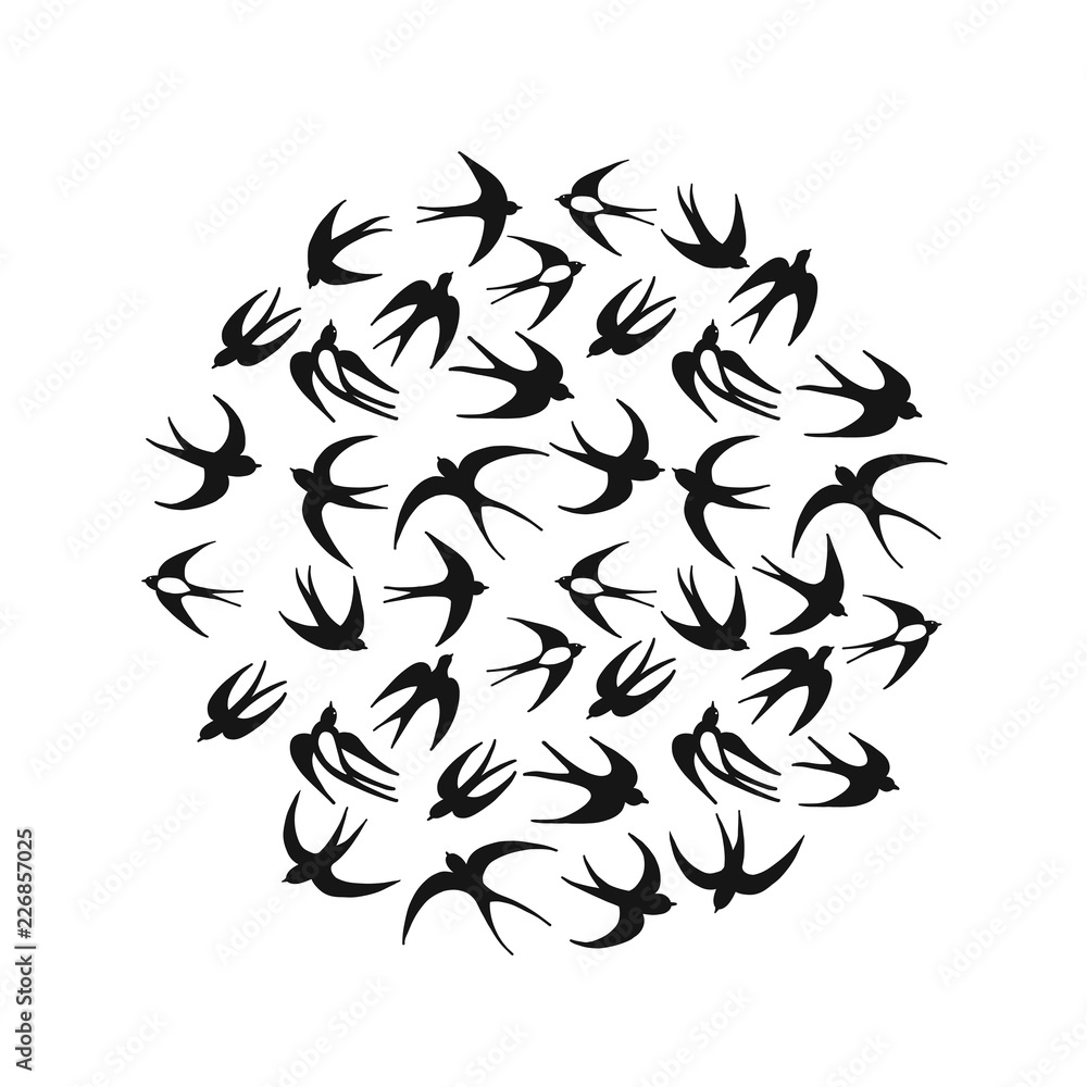 Swallows, circle frame for your design Swallows, circle frame for your design