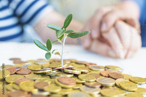 pensioners ' hands with money growing with plant, savings and retirement