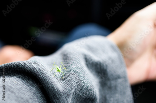 Sleeve Grasshopper