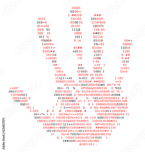 Digital footprint, source code