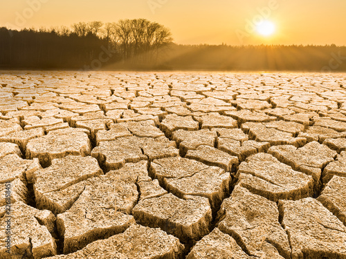 Parched cracked soil in landscape at sunrise. Close-up of drought in a sunlit waterless nature. View of forest, sky and glowing sun in a background. Idea of ecology, climate changes, extreme weather.