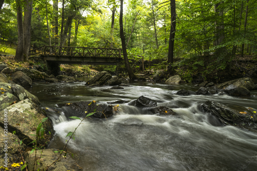 Fototapeta premium Little bridge and slow water
