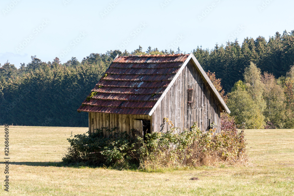 Obraz premium small house on a green meadow in front of forest