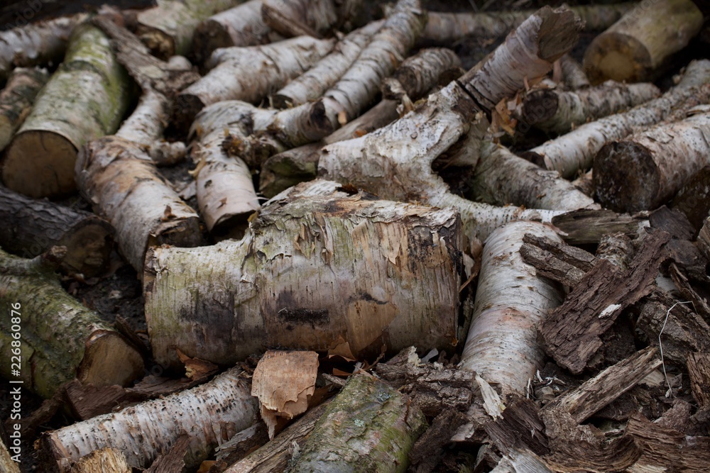 pile of logs pile of logs