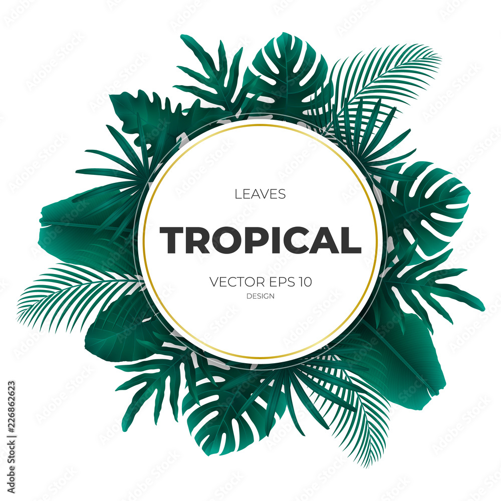 Summer tropical green palm leaves and jungle plants. Cover design template background for wedding card, advertise spa, web site.
