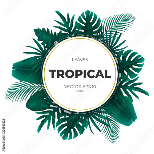 Summer tropical green palm leaves and jungle plants. Cover design template background for wedding card, advertise spa, web site.